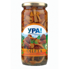 Opjata marinované