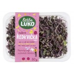 Fialová ředkvička výhonky